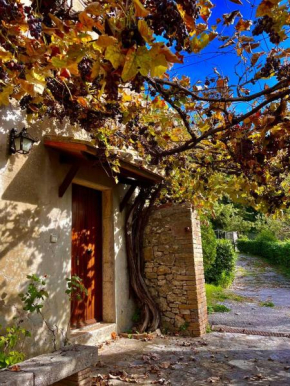 All'Acqua Santa, immersi nella natura Semproniano